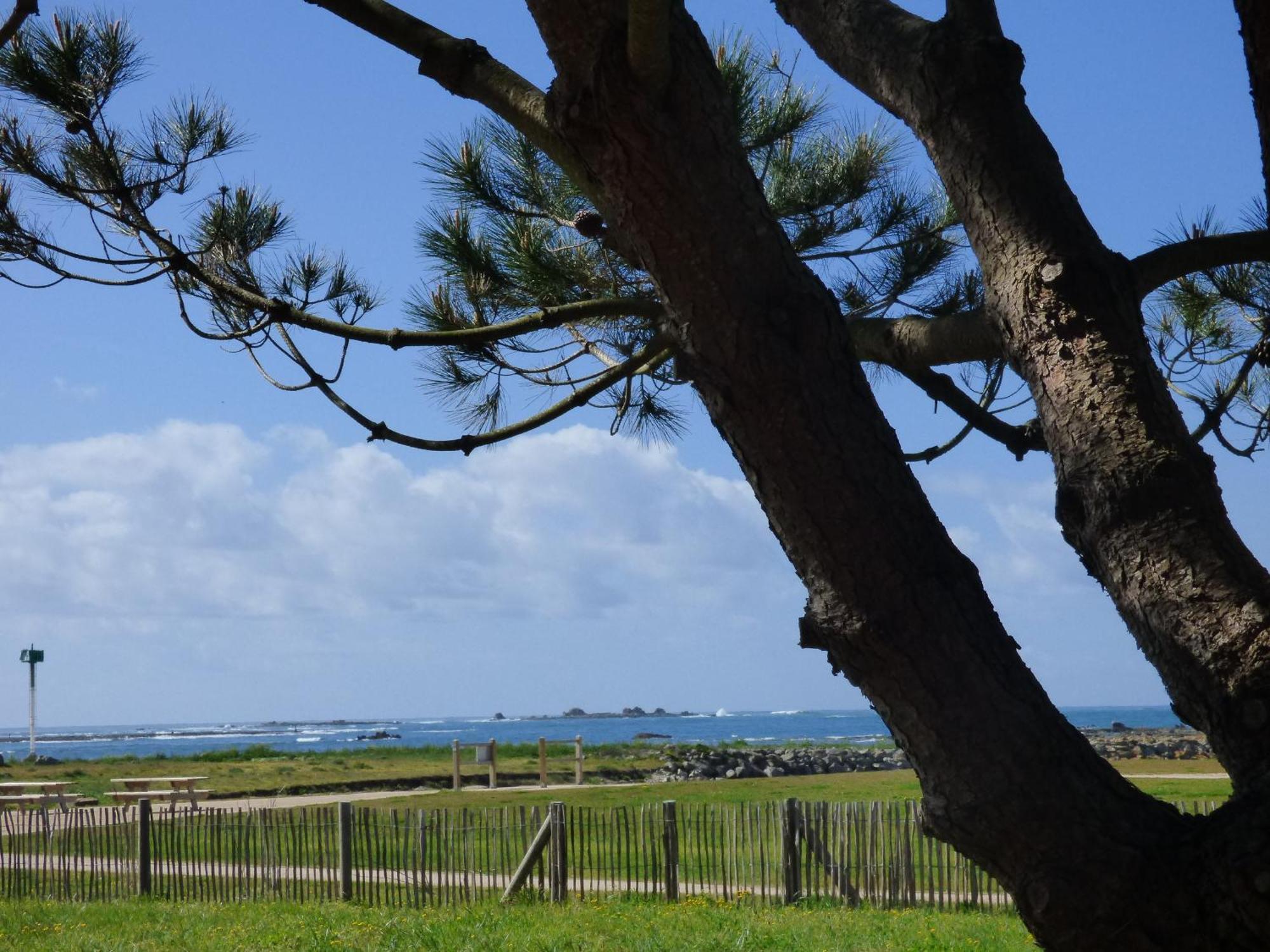 Appart-Studios Vue Mer Panoramique St Guenole Cote Mer Penmarc'h Room photo